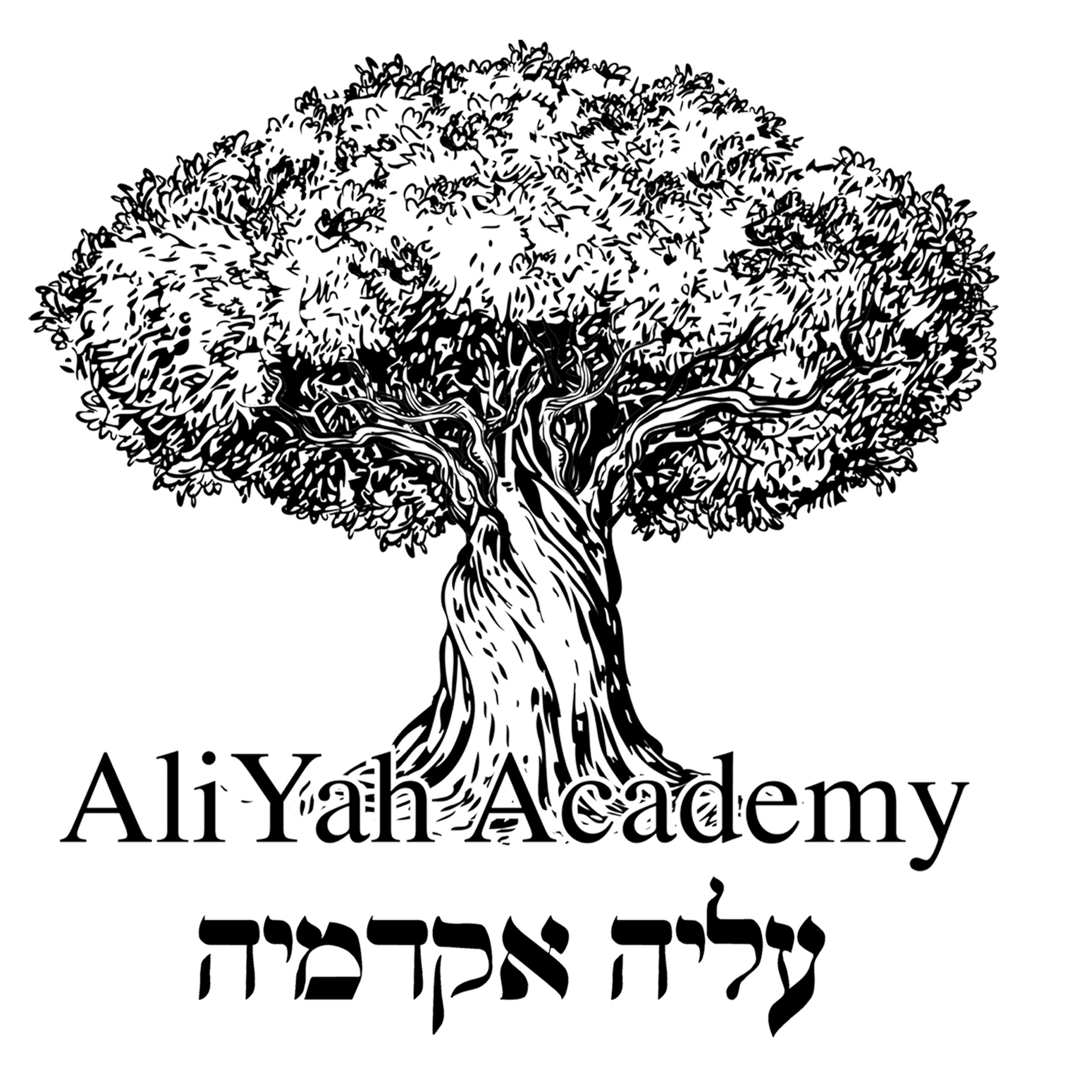 high-school-and-beyond-aliyah-academy